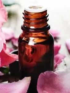 rose absolute